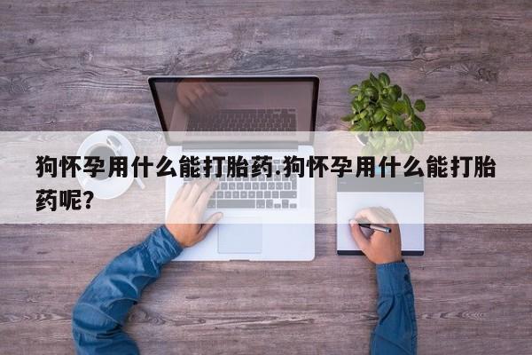 购买米非司酮片的联系方式狗怀孕用什么能打胎药.狗怀孕用什么能打胎药呢？