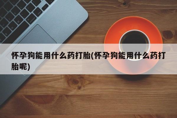 购买米非司酮片的联系方式怀孕狗能用什么药打胎(怀孕狗能用什么药打胎呢)